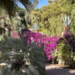 Photo taken by Betty A