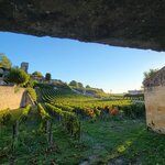 Photo taken by Lisa C