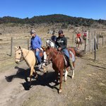 Photo taken by Cindy R