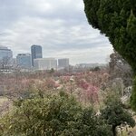 Photo taken by Daniel D