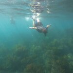 Photo taken by Kevin S