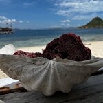 Photo taken by Judith D