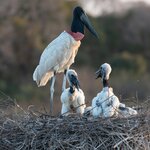 Photo taken by Matt W