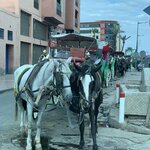 Photo taken by Cynthia F