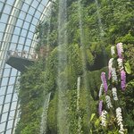 Photo taken by Sabiha K