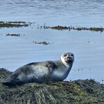 Photo taken by Scott C