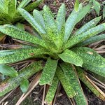 Photo taken by Joy E