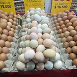 Photo taken by Peter F