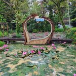 Photo taken by Chinwe O