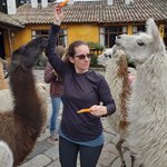 But we had a date with some llamas | Photo taken by Peter S