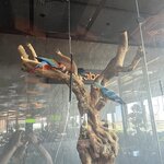 Photo taken by Natasha P