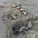 Photo taken by Patrice G