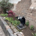 Photo taken by Stephanie S