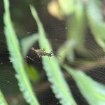 Photo taken by Darcy M