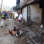 Photo taken by Susan H