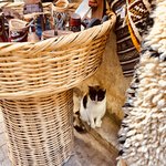 Photo taken by Laura M