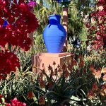 Photo taken by Jackie O