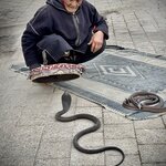 Photo taken by Colin M