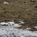 Photo taken by Tim Z