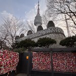 Photo taken by Suzanne W