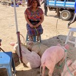 Photo taken by Nancy L