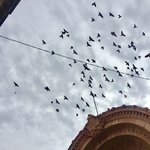 Photo taken by Zoe G