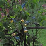 Photo taken by Dawne D