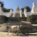 Local transportation | Photo taken by Gregory R