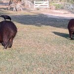 Photo taken by Matt W