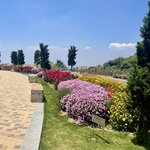 Photo taken by Jill S