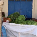 Photo taken by Cynthia F