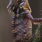 Photo taken by Matthew M