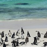 Photo taken by Christopher F