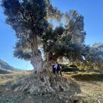 Photo taken by Jill T