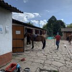 Photo taken by Nicole G