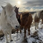 Photo taken by Lisa T