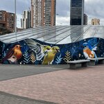 Photo taken by Robert P