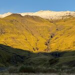 Photo taken by Sue F