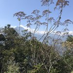 Photo taken by Brunna A