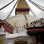 Photo taken by Shawn C