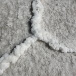 Photo taken by Mai S