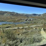 Photo taken by Leigh M