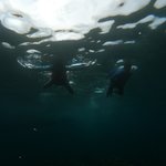 Photo taken by Debajyoti R