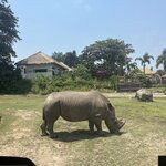 Photo taken by Brittany Leslie Lynn S