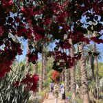 Photo taken by Jay H