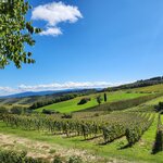 Photo taken by ELIZABETH S