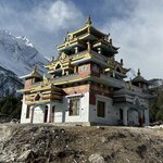 Photo taken by Willow K