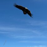 Photo taken by Insiyah K