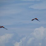 Photo taken by Brett F