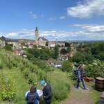 Photo taken by Judy B